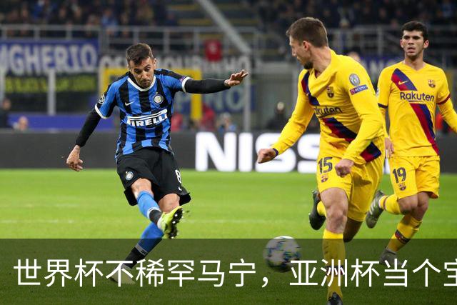 世界杯不稀罕马宁，亚洲杯当个宝！球迷：他吹决赛阿根廷不敢造次