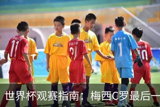 世界杯观赛指南：梅西C罗最后一舞 国足缺席依然满满中国元素