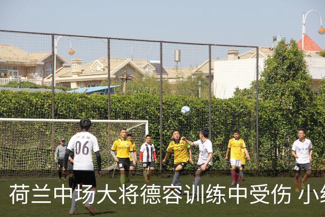 荷兰中场大将德容训练中受伤 小组赛次轮出战成疑